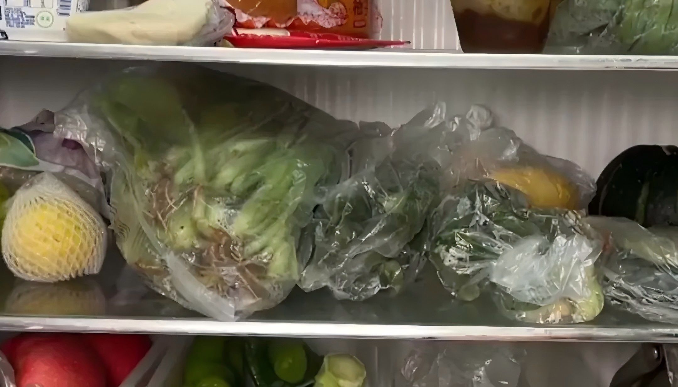  选择完美食品储藏袋，让您的食材新鲜更持久(图7)