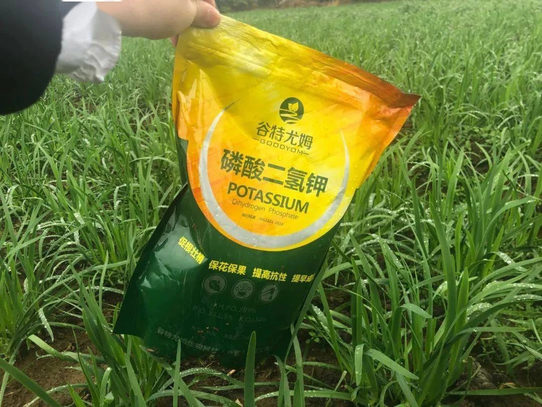 小农户与天然品牌焕新升级的智慧之选(图1)