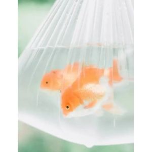 超市塑料袋隐藏的大学问！4招教你辨别食品级环保袋（附居家检测攻略）